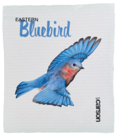 Eastern Bluebird Swedish Dishcloths